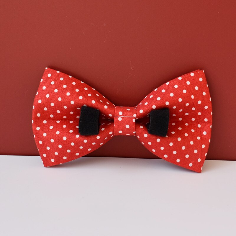 Red Polkadot Set