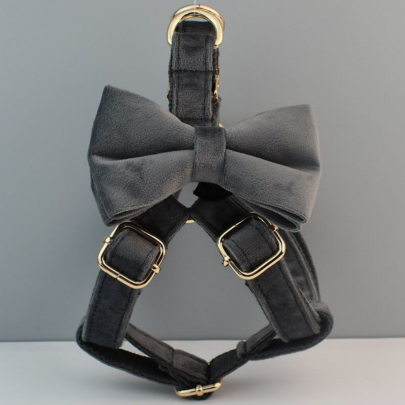 Grey Velvet Harness and Lead Set