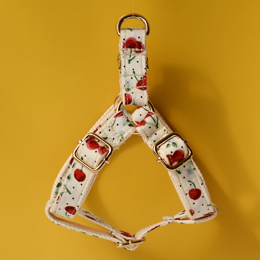 Cherry Print Lead and Harness Set