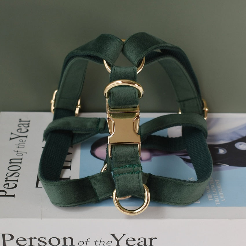 Rich Green Velvet Lead and Harness Set