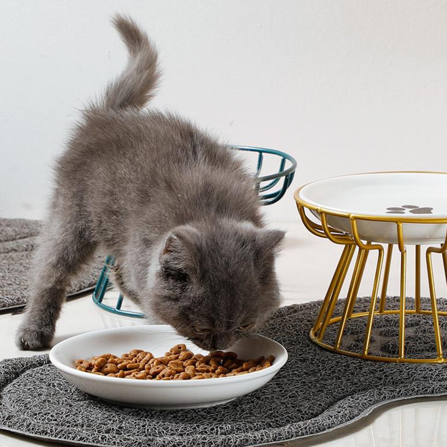 Stylish Ceramic Raised Bowl