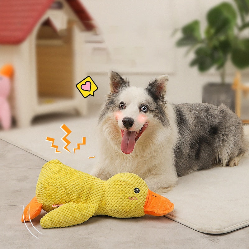 Squeaking Duck Toy