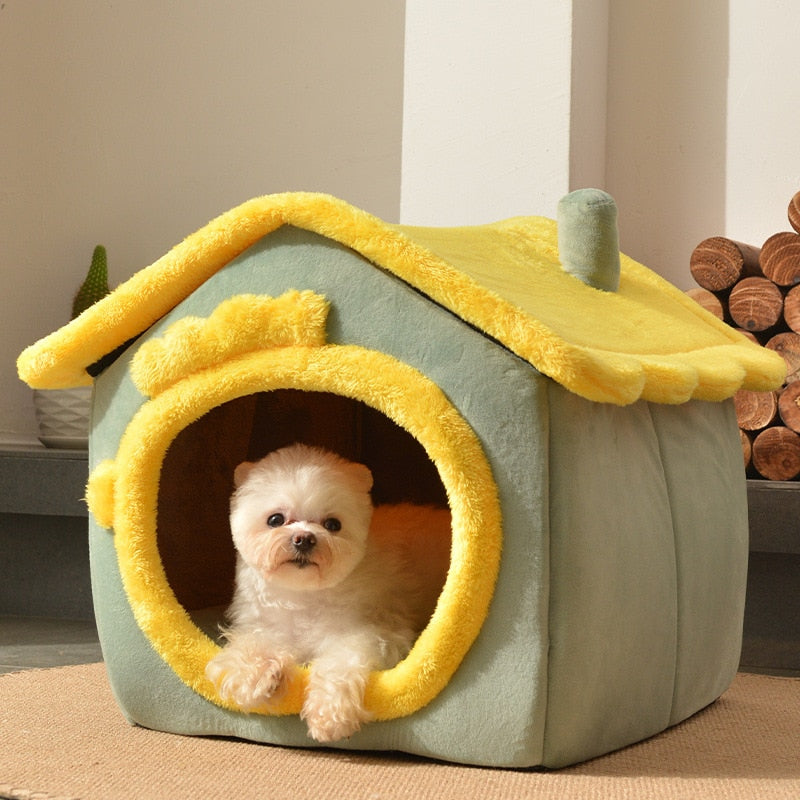 Pawsome Home Beds