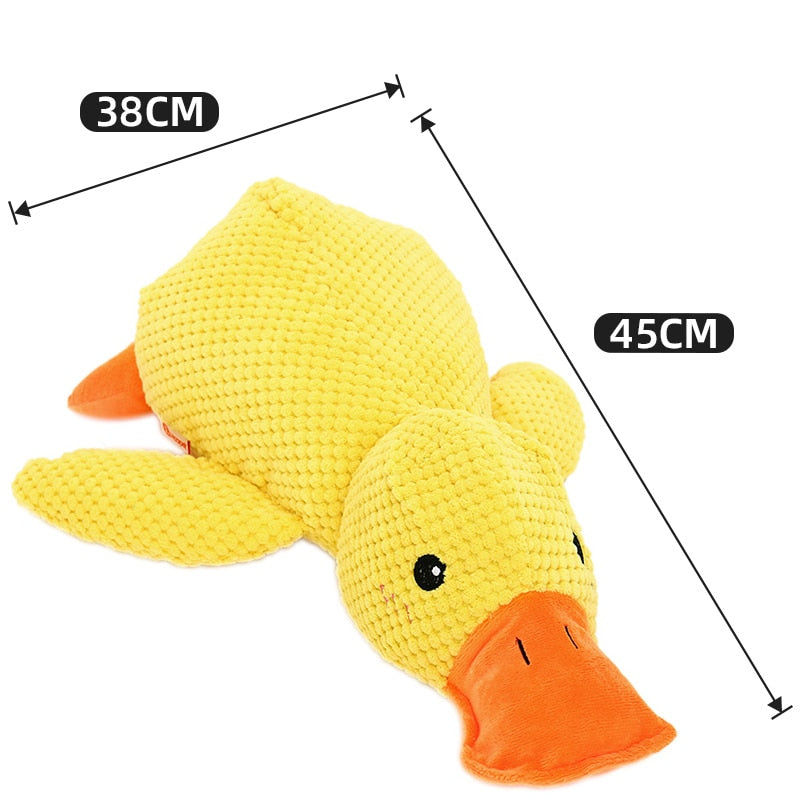 Squeaking Duck Toy