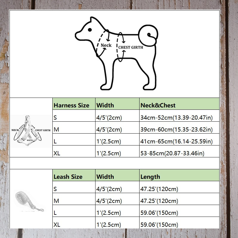 Banana Design Lead and Harness Set