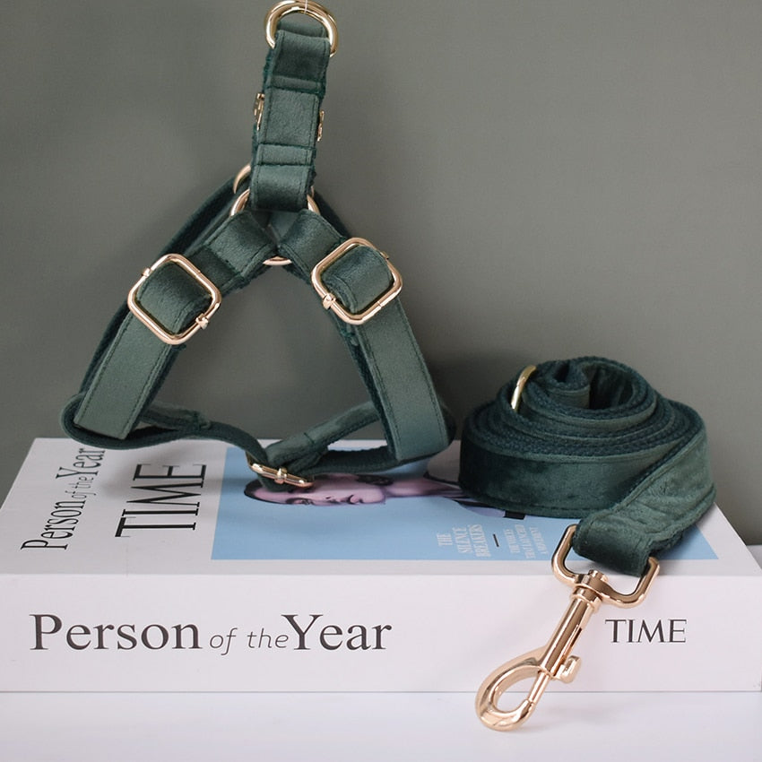 Rich Green Velvet Lead and Harness Set