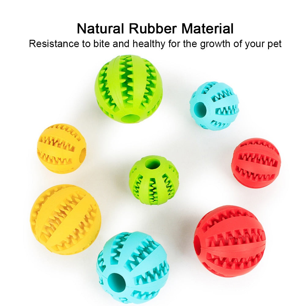 Teeth Cleaning Dog Treat Dispenser Balls