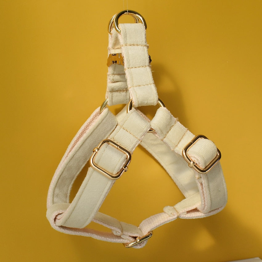 |14:29#dog harness(Gold);5:100014064|14:29#dog harness(Gold);5:361386|14:29#dog harness(Gold);5:361385|14:29#dog harness(Gold);5:100014065