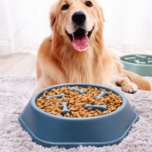 Slow Feeder Dog Bowl