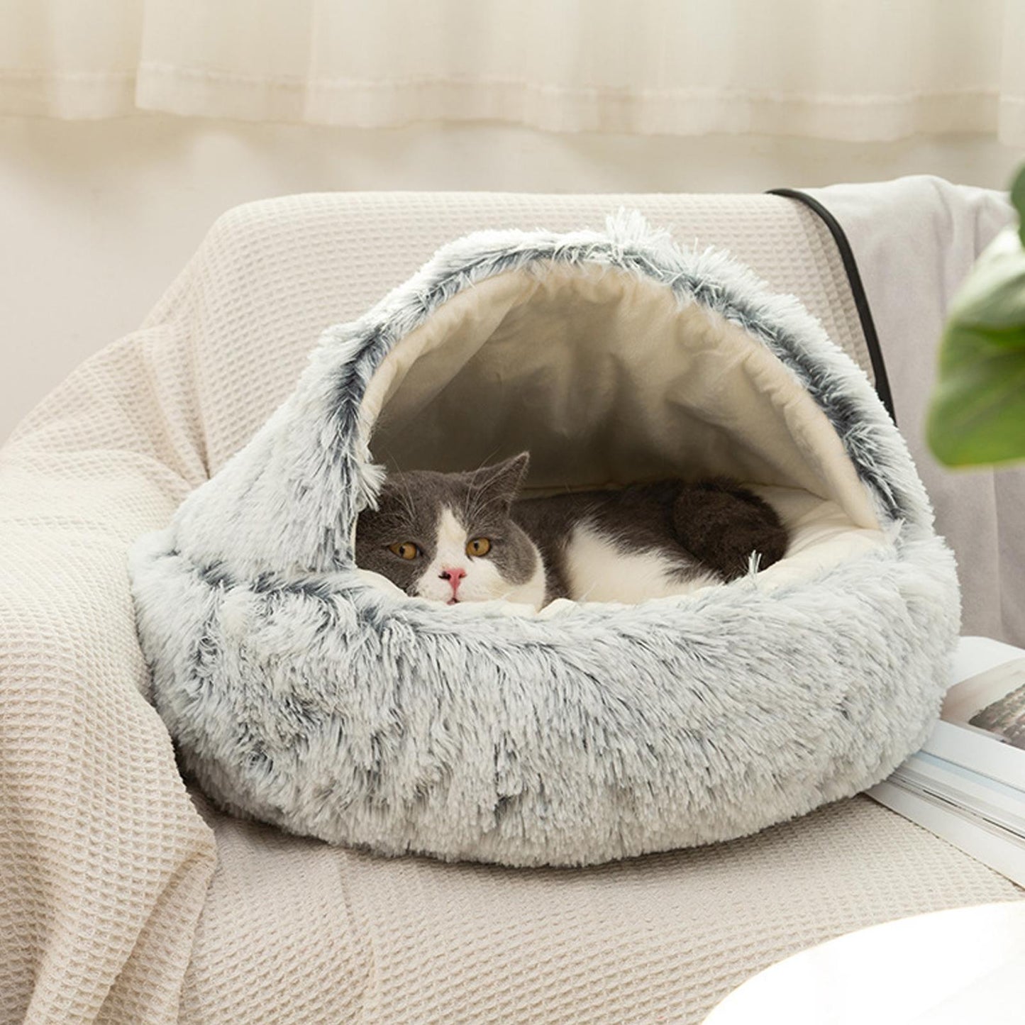 Cat Cave