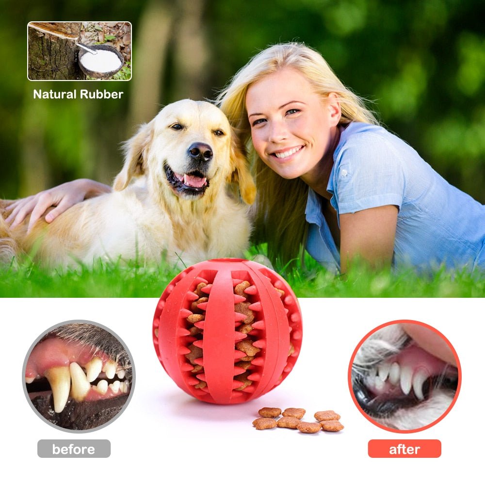 Teeth Cleaning Dog Treat Dispenser Balls