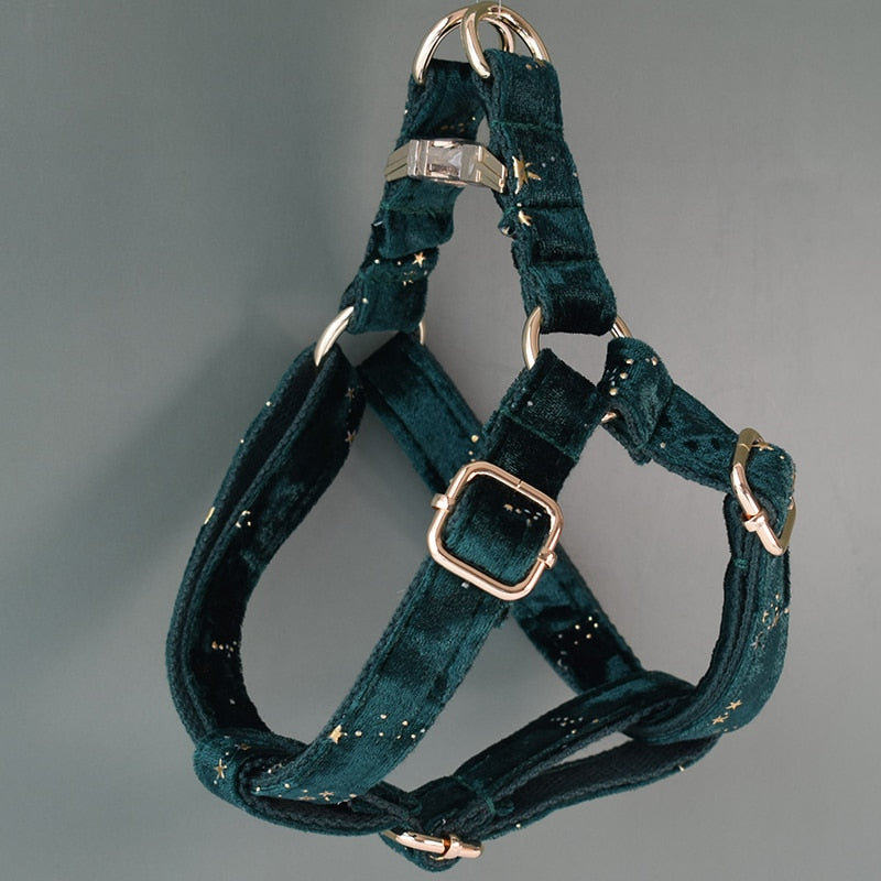 Green Star Velvet Lead and Harness