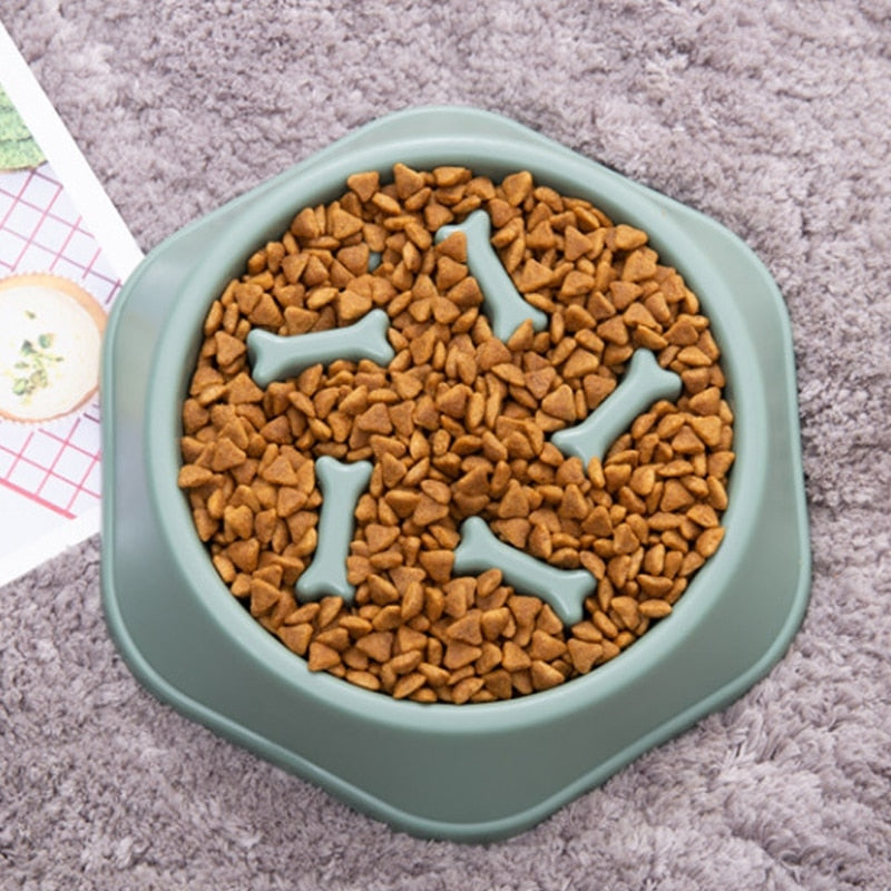 Slow Feeder Dog Bowl