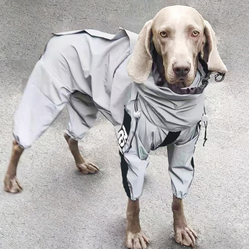 Pawsome Reflective Raincoat