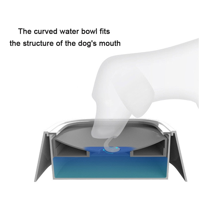 None Spill Dog Bowl