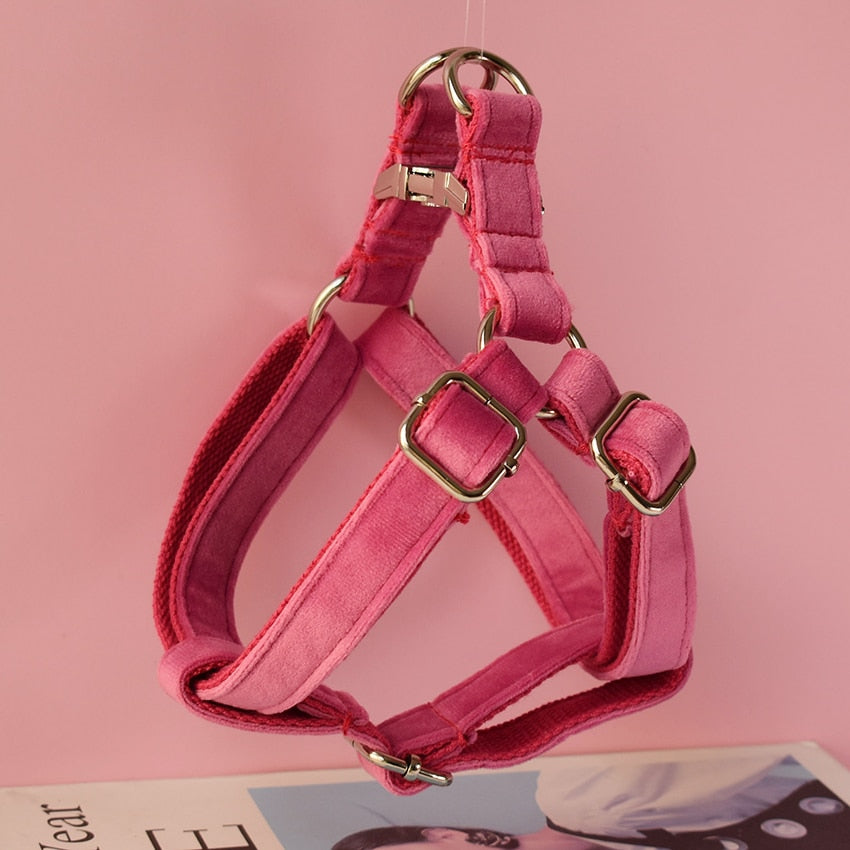 |14:29#dog harness(Silver);5:100014064|14:29#dog harness(Silver);5:361386|14:29#dog harness(Silver);5:361385|14:29#dog harness(Silver);5:100014065