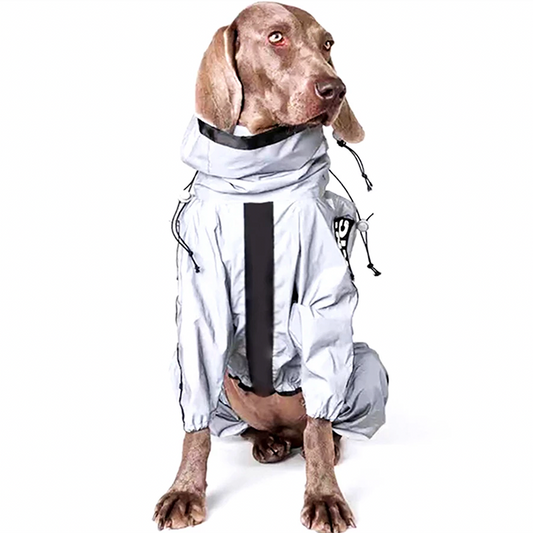 Pawsome Reflective Raincoat