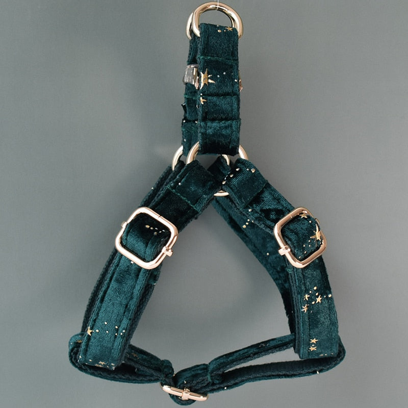 Green Star Velvet Lead and Harness